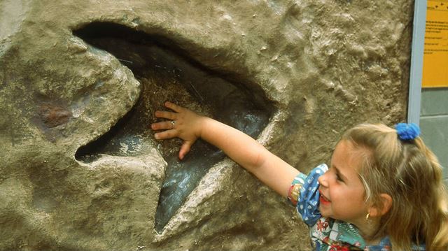 Free dinosaur days out: there's lots for kids to learn at free museums and dinosaur experiences